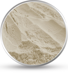 Fast Hydration Guar Gum Powder