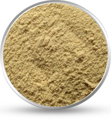 Cassia Tora Powder