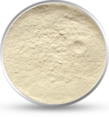 Tamarind Kernel Powder