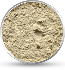 Sesbania Gum Powder
