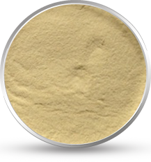 Fenugreek Gum Powder