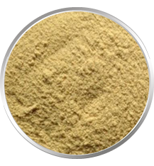 Cassia Tora Meal, Cassia Tora Powder