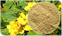 Cassia Tora Meal, Cassia Tora Powder