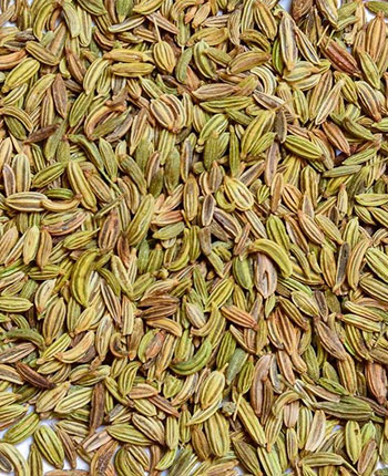 fennel seed supplier