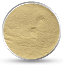 Fenugreek Gum Powder