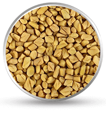 Fenugreek Seeds