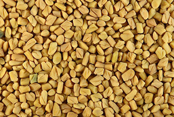 Fenugreek Seeds
