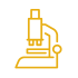 Research in Guar Gum and Cassia Gum Production