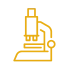 Research in Guar Gum and Cassia Gum Production