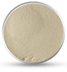 Psyllium Husk Powder Exporter