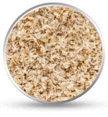 Psyllium Husk