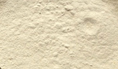 tamarind kernel powder supplier