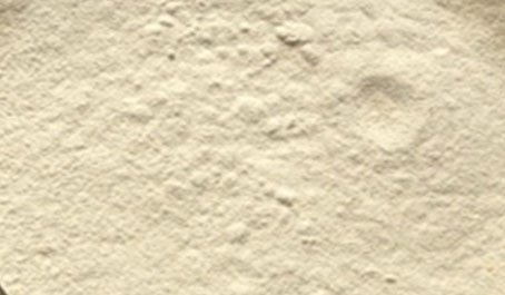 tamarind kernel powder supplier