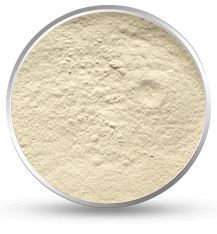 tamarind kernel powder