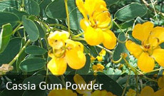 Cassia Gum Powder