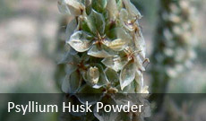 Psyllium Husk Powder