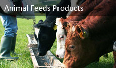 Animal Feed Products