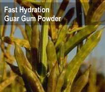 Fast Hydration Guar Gum Powder