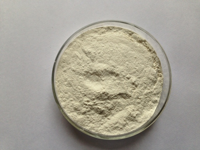 Guar Gum Powder - 2