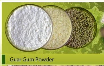 guar gum powder