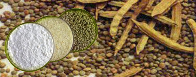 Guar Gum Powder
