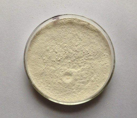 Tamarind Gum Powder (Tamarind Kernel Powder) - 1