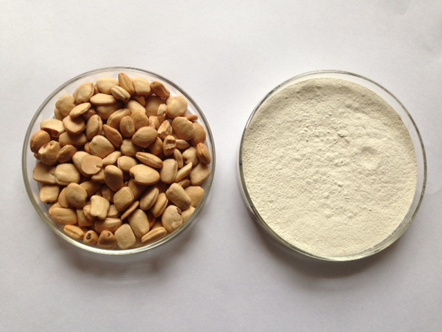 Tamaind Seed - Tamarind Gum Powder (Tamarind Kernel Powder)