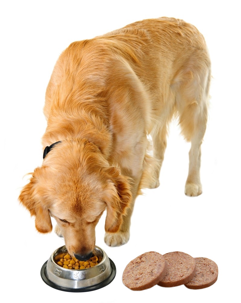 Cassia Gum Powder into pet food