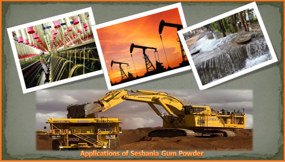 Applications of Sesbania Gum Powder