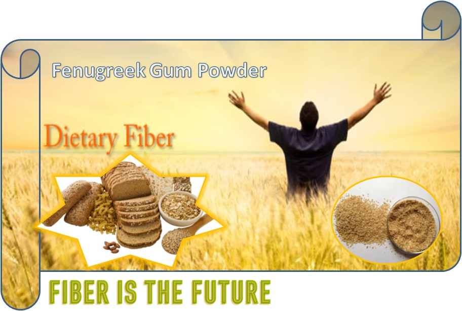 Fenugreek Gum Powder and Dietary Fiber