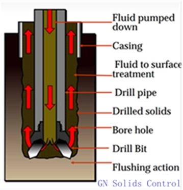 consideration-of-sesbania-for-fluid-drill