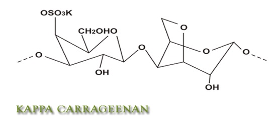 kappa-carrageenan-in-dairy-products