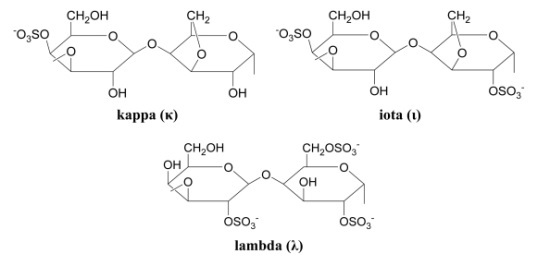 kaos med tiden Pløje The Five Different Forms of Carrageenan and its Significance in Industrial  Applications