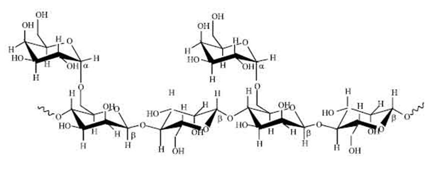 molecular-nature-of-sesbania