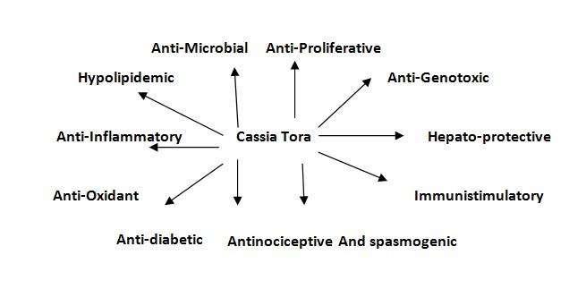 Cassia Tora as Anti-Diabetic and Other Medicinal Resources