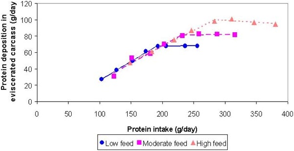 Significance of Cassia Tora Meal in Cattle Feed Industry