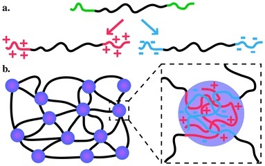 Changes Shown by Natural Polymer during Hydrogel Formation