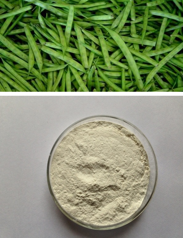 Guar Gum Powder  Altrafine Blog - Part 8