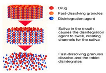 Processing Seeds for Pharmaceutical Purpose