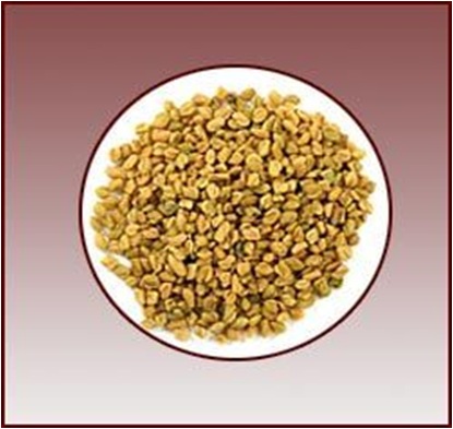 Biological Ingredients comprised in Fenugreek Gum Powder