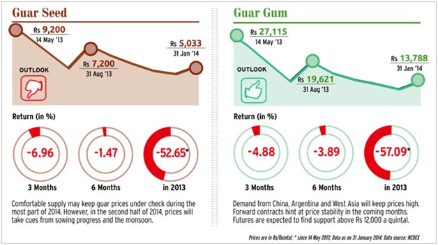 Reasons Encouraging Farmers to Opt for Guar Cultivation