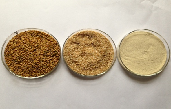 Fenugreek seeds & Fenugreek  Powder