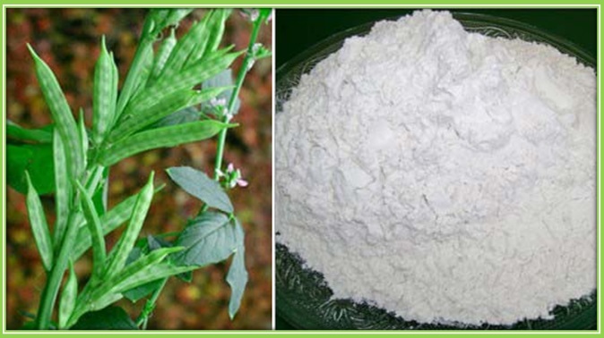 guar gum powder from india