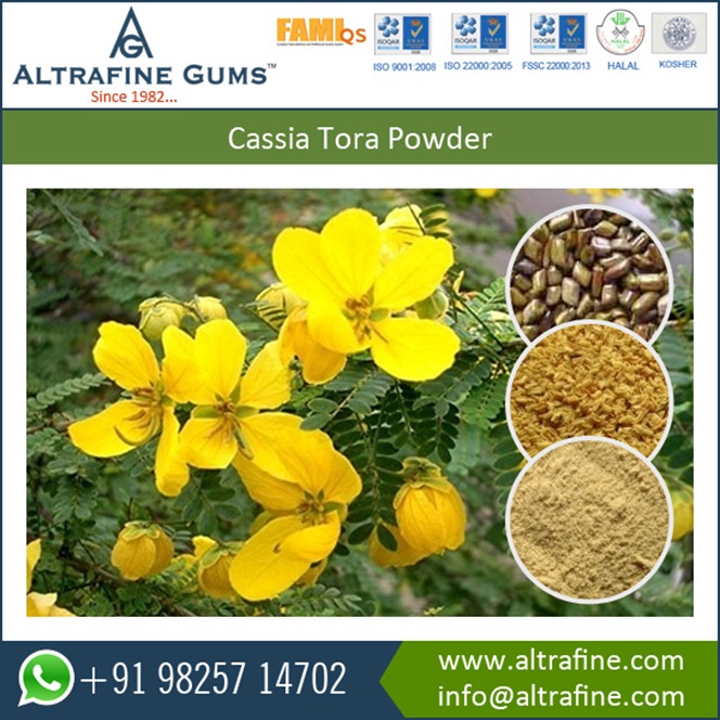 cassia gum powder