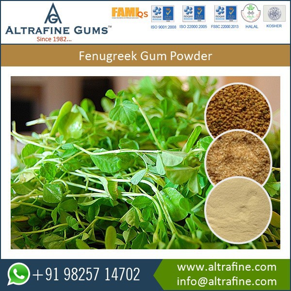 fenugreek gum powder