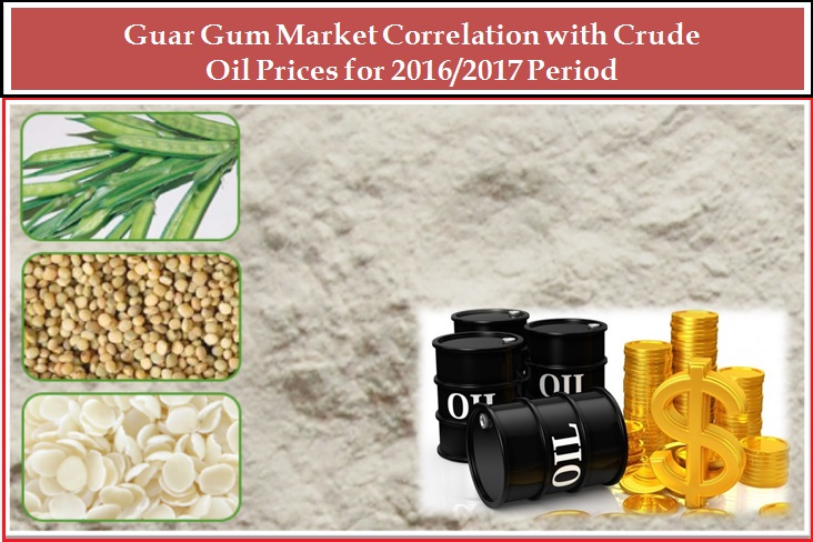 Guar Gum Powder