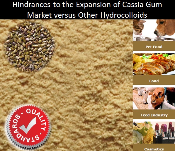 Cassia Gum Powder