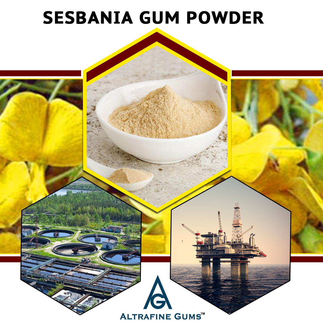 Sesbania gum powder