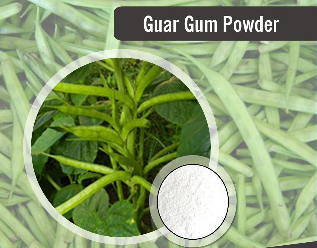 Guar Gum Powder