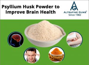 Psyllium Husk Powder to Improve Brain Health